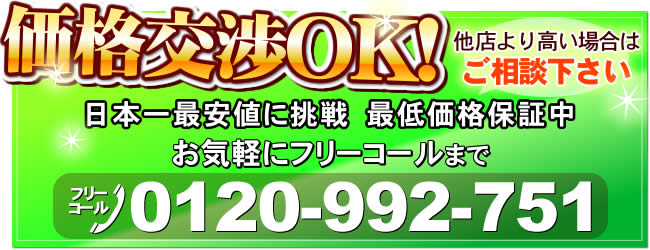 ジャノメ湯あがり美人CT(BL54) 消耗品